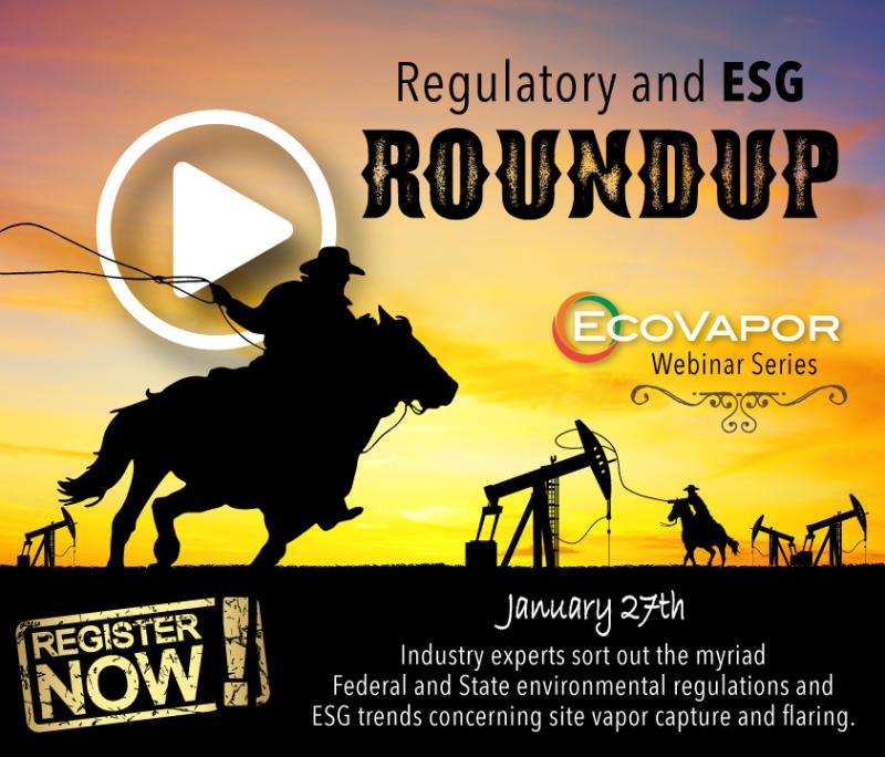 Kat Galloway Joins Expert Panel for EcoVapor Webinar Series