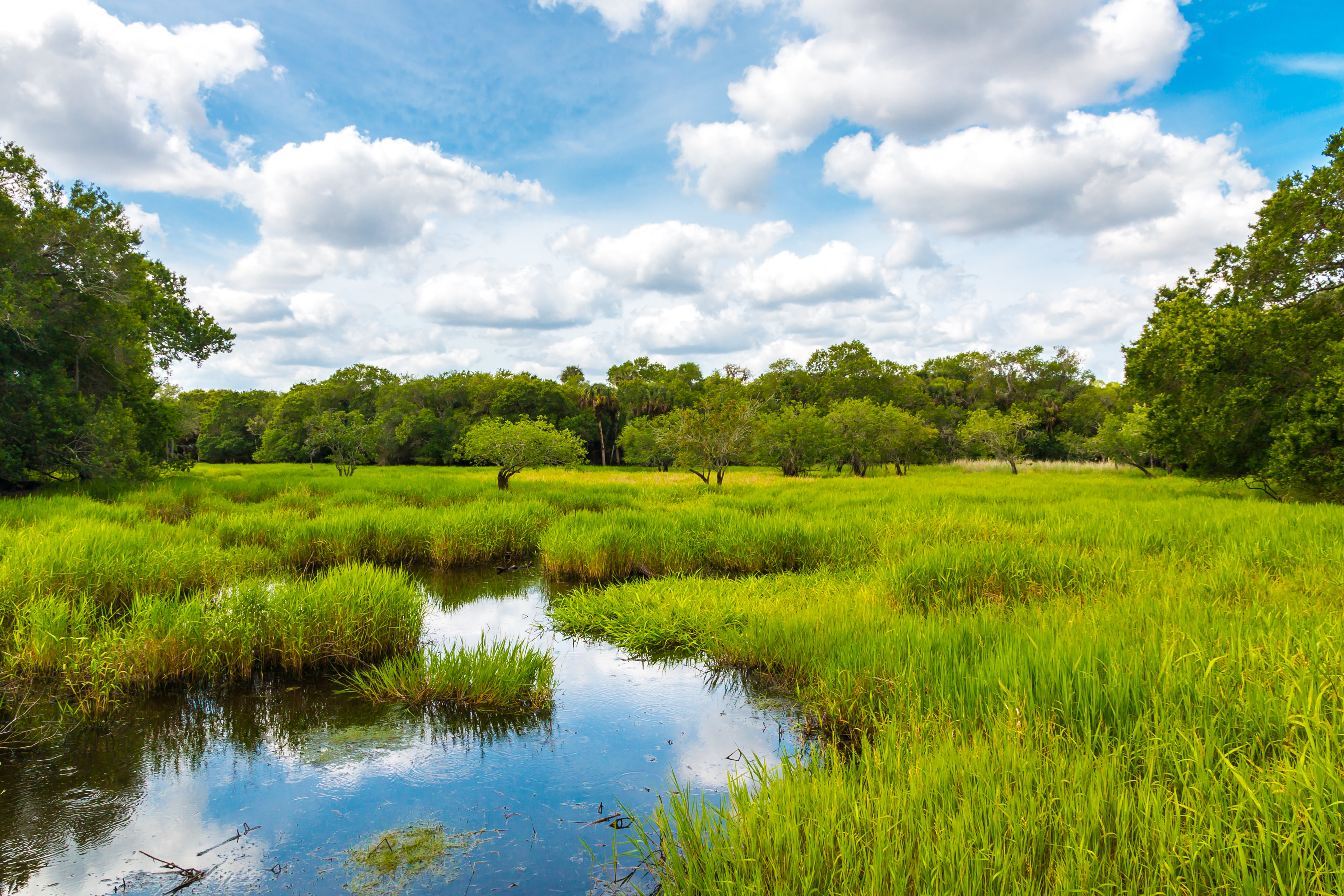 EPA and USACE Publish New Rule to Define Waters of the U.S.